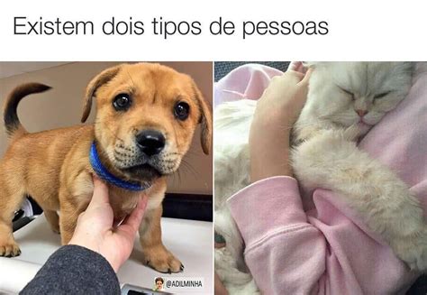 Quando Eu Jogo Um Pedaço De Pão Que Sobrou Para O Meu Cachorro E Ele Memes