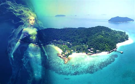 Pulau Babi Besar Johor Harry Tucker