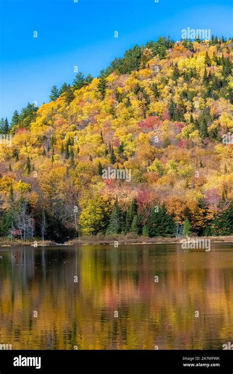 Indian Summer Canada Hi Res Stock Photography And Images Alamy