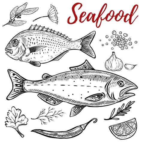 Premium Vector Set Of Hand Drawn Seafood Illustrations On White