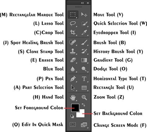 Mengenal Tool Photoshop Cs6 Dan Fungsinya