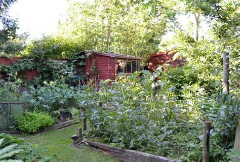 Permaculture Garden Using Grass For Path Areas Land Ho Forest School