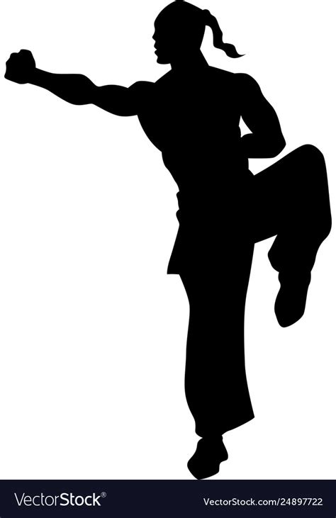 Kung Fu Fighter Silhouette Royalty Free Vector Image