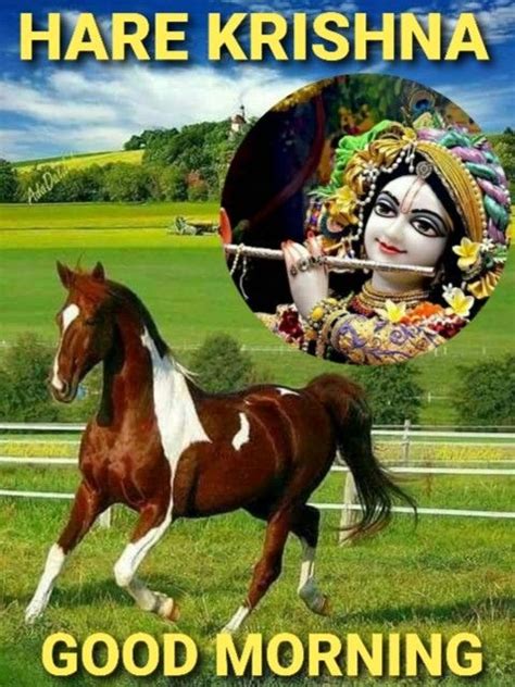 Pin By Venkat Ganesh On Krishna With Horses In 2023 Krishna Horses