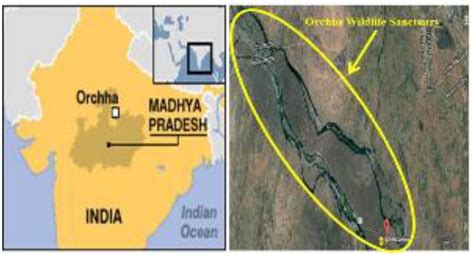 Location of the orchha wildlife sanctuary. | Download Scientific Diagram