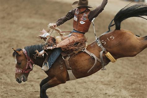 Rodeo Wallpaper HD Download