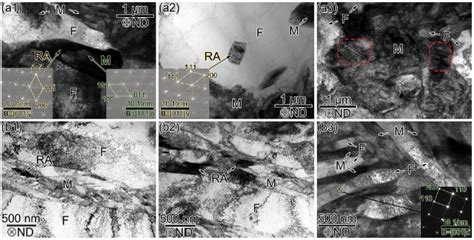 Quasi Situ Characterization Of Deformation In Low Carbon Steel With