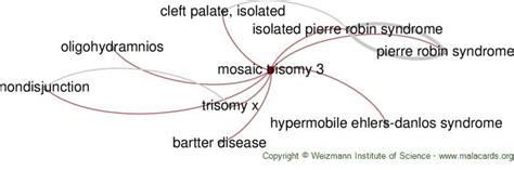 Mosaic Trisomy 3 disease: Malacards - Research Articles, Drugs, Genes ...