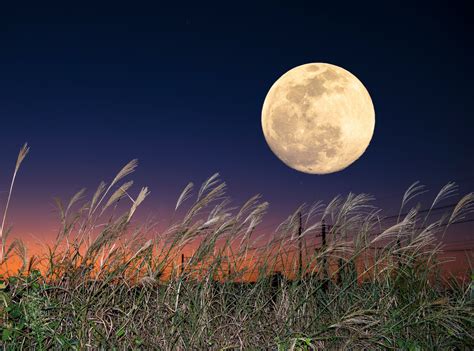 Fall Harvest Moon Photography
