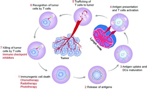 Antitumor Immunity Elicited By The Treatment Strategy Of Icd Inducers