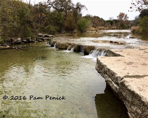 Bull Creek Beauty Worth Fighting For Digging