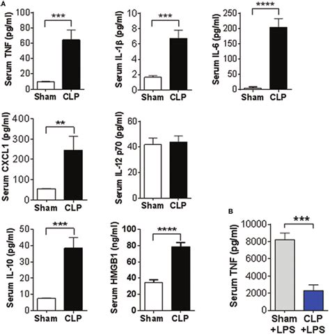 Cecal Ligation And Puncture Clp Sepsis Alters Circulating Cytokine