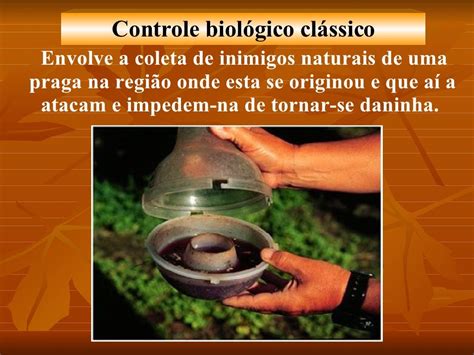 Controle Biológico