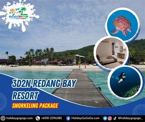 2025 Promo 3d2n Redang Bay Resort Snorkeling Package HolidayGoGoGo