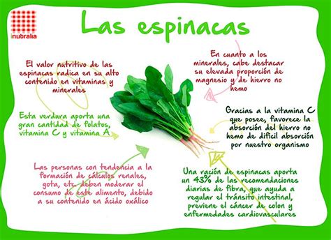 Beneficios Para La Salud De Las Espinacas Infografías Y Remedios