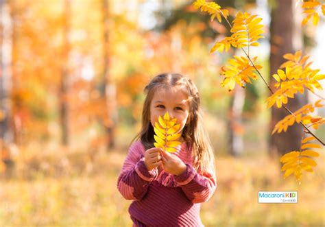 Best Places To See Peak Fall Foliage In Lincoln In Macaroni Kid