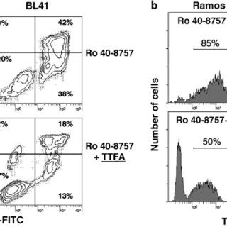 Inhibition Of MRC Decreased Ro 40 8757 Induced BL Cell Apoptosis Dual