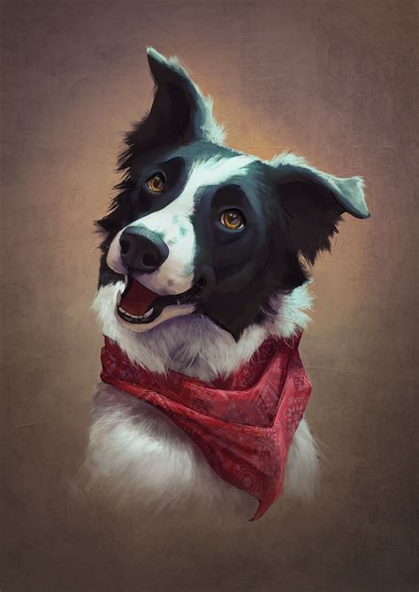 Border Collie Artwork By Nordeva Dog Drawing Canine Art Pet Portraits