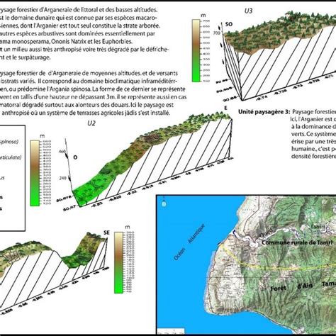 Unit S Paysag Res De L Arganeraie D Ain Tamaloukt Suivant Un Transect