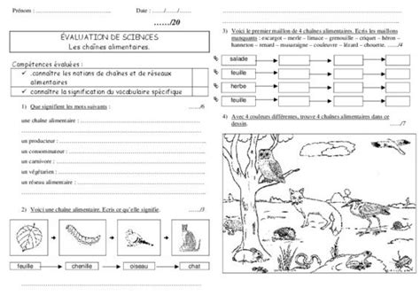 Chaines Alimentaires Ce1 Book Evolution Science 2nd Grade Math