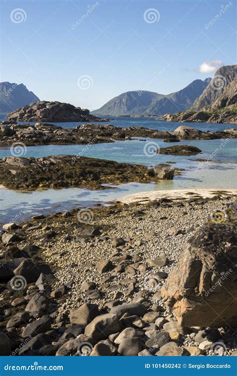 Henningsvaer At Lofoten In Norway Stock Photo Image Of Panoramic