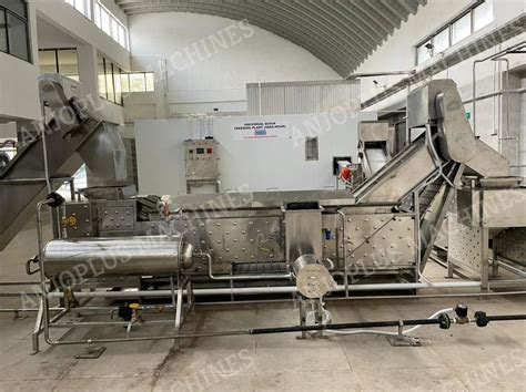 Continuous Type Steam Blancher At Rs Piece Vegetable Blancher