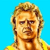 WWF WrestleFest | WWE Games & Wrestling Games Database