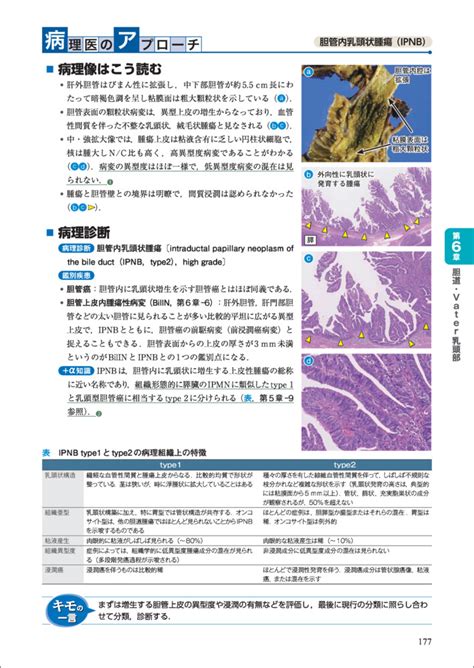 臨床医が知っておきたい消化器病理の見かたのコツ 改訂版 羊土社