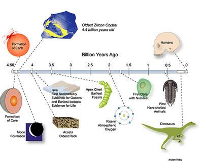 theory  evolution creationwiki  encyclopedia  creation science