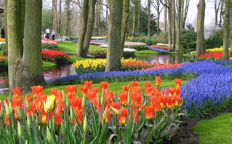 IMG_1345 | Keukenhof | Jeremy | Flickr