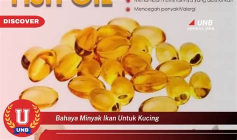 Intip 10 Bahaya Minyak Ikan Untuk Kucing Yang Jarang Diketahui