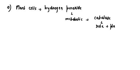 SOLVED The Enzyme Catalase Has An Important Role In Which Of The