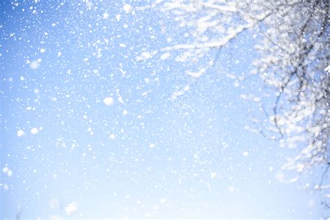 图片素材 片 树 天蓝色 性质 冬季 白色 雪花 梦想 晴天 天空 白天 大气层 地球大气 阳光 电脑壁纸