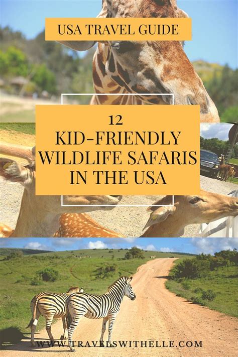 12 Best Kid Friendly Safaris In The Usa Wildlife Safari Travel Usa