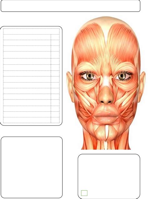 Ficha De Toxina Botulinica Harmonização Facial Uso Toxina