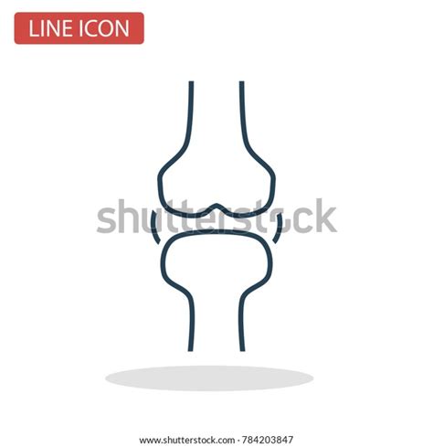 Human Knee Joint Line Icon Web Stock Vector Royalty Free 784203847