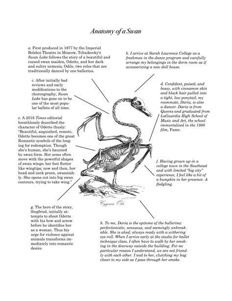 Anatomy of a Swan - Atticus Review