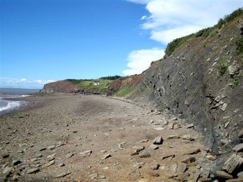 The Joggins Fossil Cliffs In Nova Scotia Are 300 Million Years Old