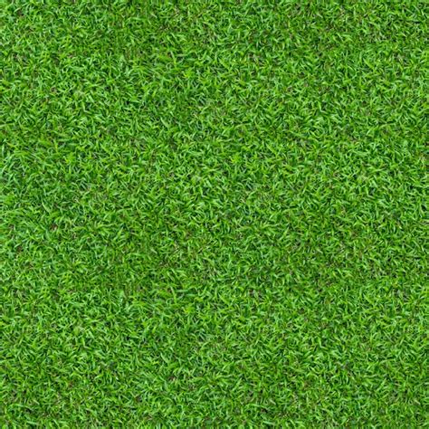 Textura De Grama Verde Para Plano De Fundo Foto Premium