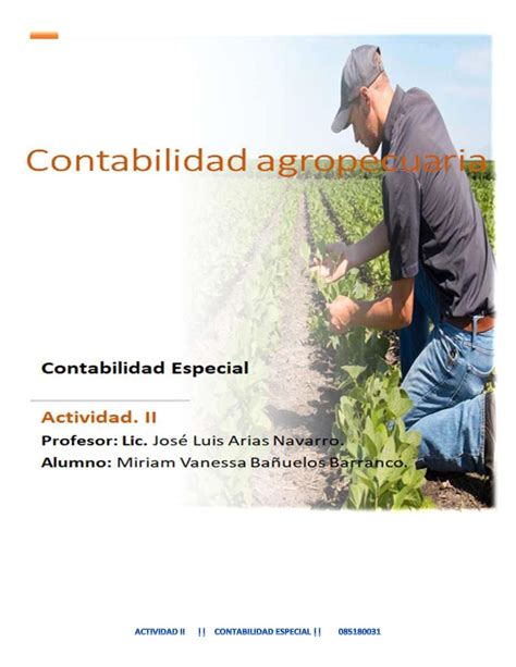 Calaméo Antecedentes De La Contabilidad Agropecuaria