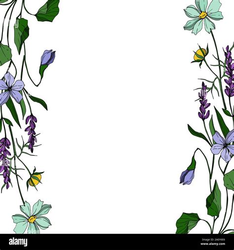 Spring Border Clipart Black And White