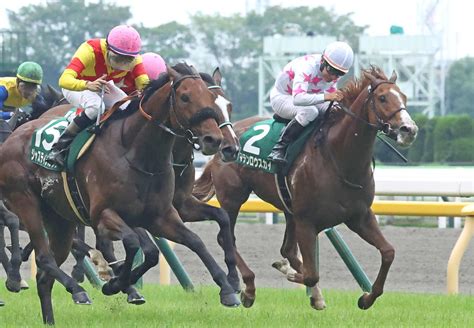 マテンロウスカイしぶとく伸びて3着 松永幹師「いい競馬できた」／エプソムc 競馬写真ニュース 日刊スポーツ