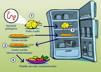 Cómo guardar la compra en el frigorífico QSN Qué Sabes de Nutrición