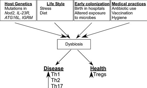 Figure 3 From The Gut Microbiome Shapes Intestinal Immune Responses