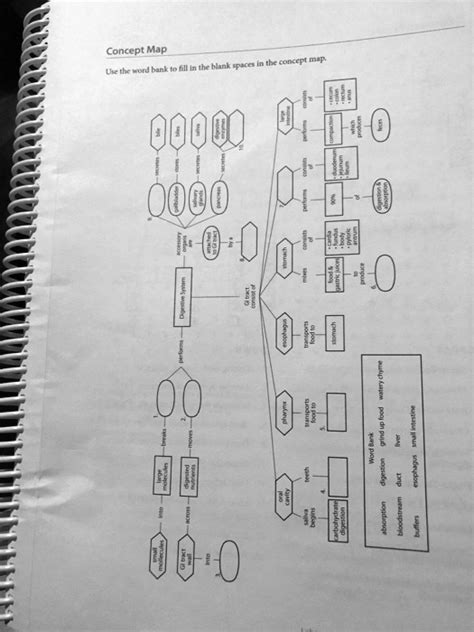 Solved Concept Map Use The Word Bank To Fill In The Blank Spaces In The Concept Map 00000 10