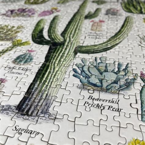 Masterpieces Cacti Of The Desert Southwest Piece Jigsaw Puzzle