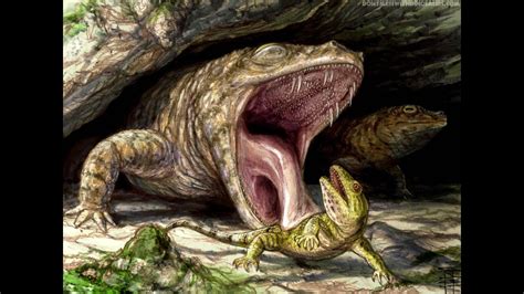 When Life Conquered The Land | The Evolution of Amphibians - YouTube