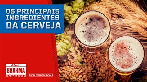 Quais são os ingredientes da cerveja Brahma O Contador de Cervejas