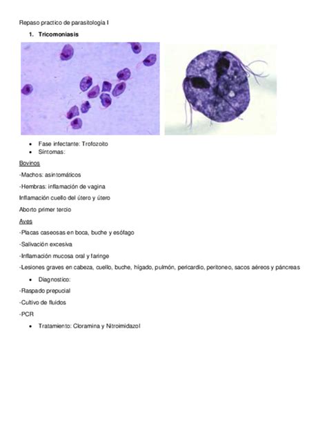 Doc Repaso Practico De Parasitología I Ana Gabriela Abreu Adames