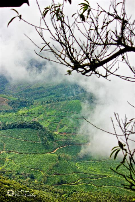 Eravikulam National Park Kerala Kerala Tourism National Parks